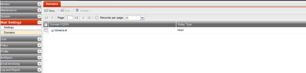 Mail Settings - Domain